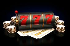 springbok casino  free spins