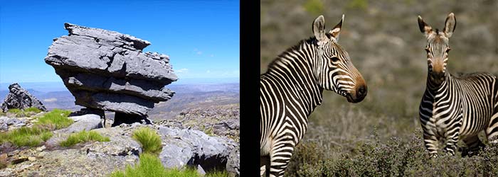 Cederberg Mountains