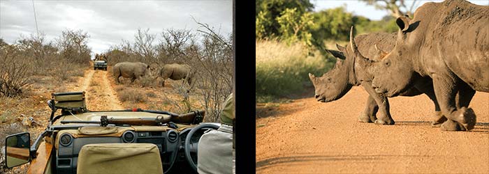 Kruger National Park